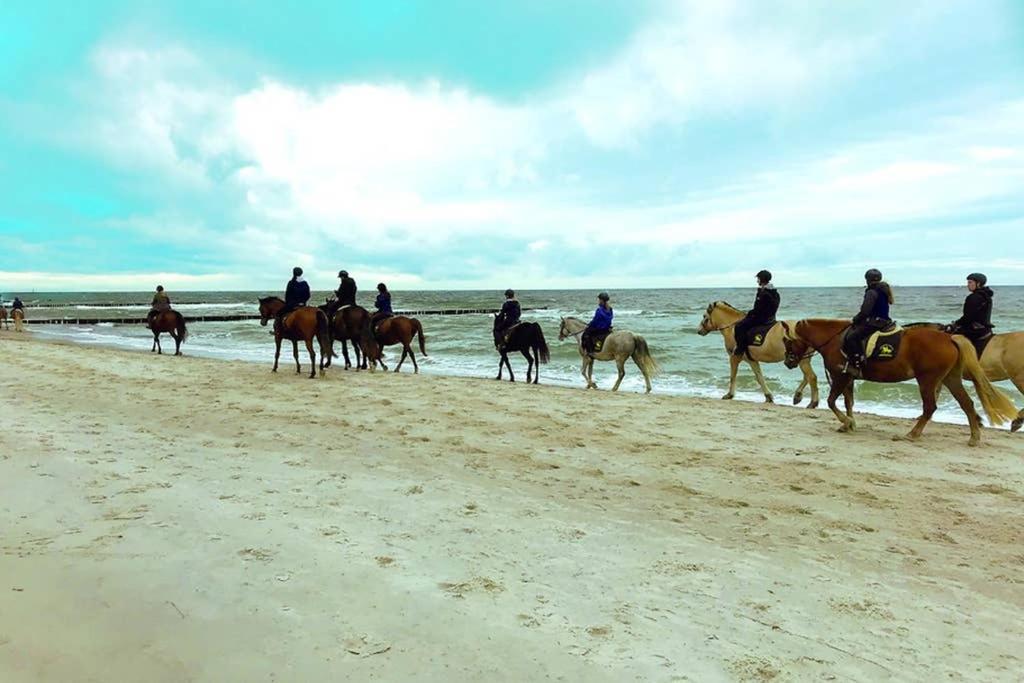 Ostsee-Ferienwohnung Uhlnuest Graal-Mueritz Gelbensande Экстерьер фото