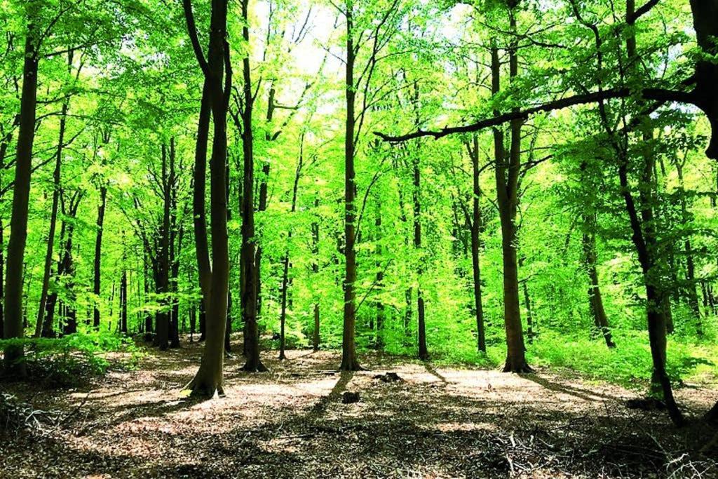 Ostsee-Ferienwohnung Uhlnuest Graal-Mueritz Gelbensande Экстерьер фото